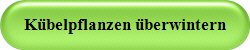 Kbelpflanzen berwintern