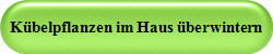 Kbelpflanzen im Haus berwintern