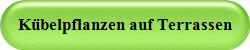 Kbelpflanzen auf Terrassen